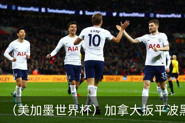 （美加墨世界杯）加拿大扳平波黑 获队史世界杯首分
